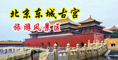 欧美插bb中国北京-东城古宫旅游风景区